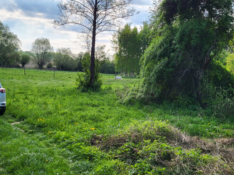 Działka pod Wieliczką, w całości budowlana, duża (28ar), płaska, nasłoneczniona