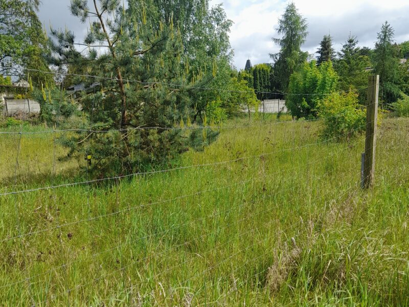 Działka budowlana na wsi