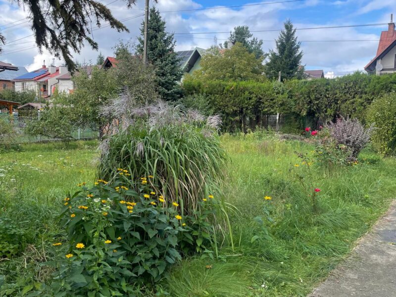 Sprzedam dom z piękną działką w atrakcyjnej okolicy (Borek)
