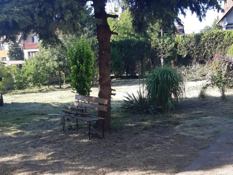 Sprzedam dom z piękną działką w atrakcyjnej okolicy (Borek)