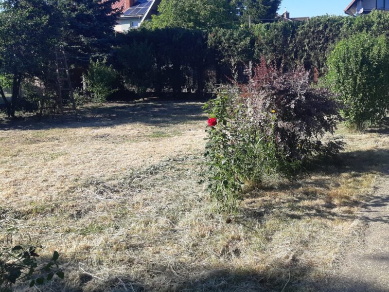 Sprzedam dom z piękną działką w atrakcyjnej okolicy (Borek)