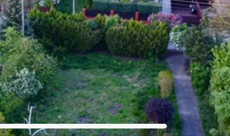 Sprzedam dom z piękną działką w atrakcyjnej okolicy (Borek)