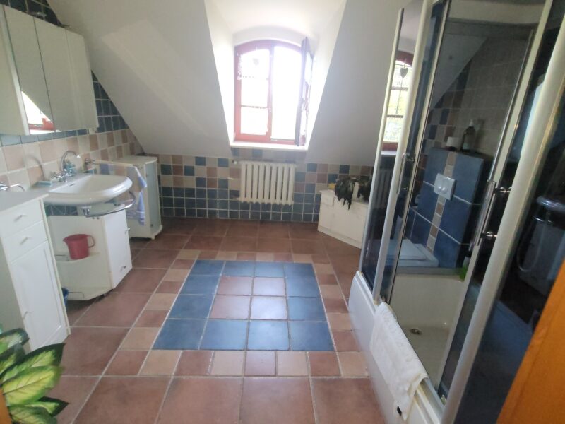 Piekny duzy dom z duzą działką (54ar)