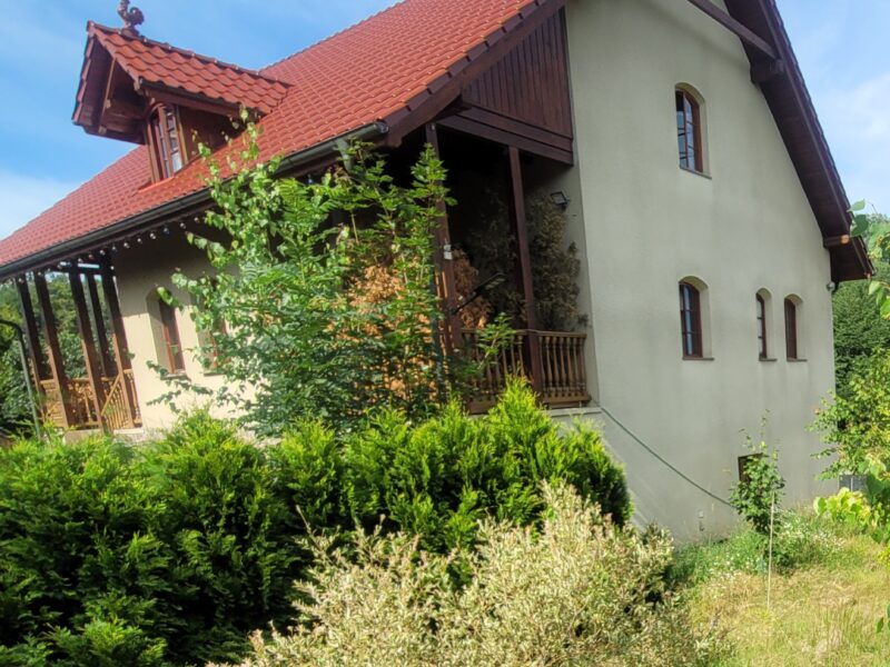 Piekny duzy dom z duzą działką (54ar)