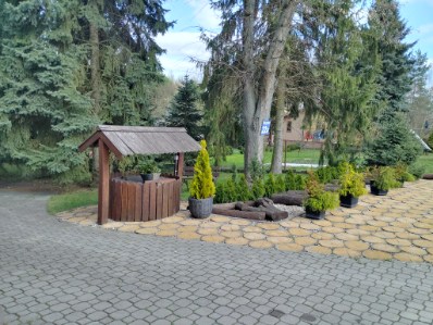 Sprzedam działkę siedliskową zabudowaną i urządzoną