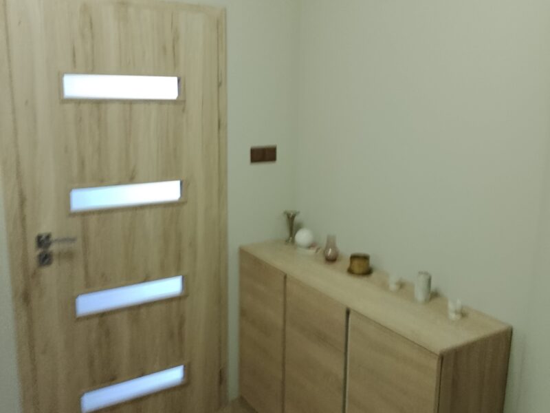 Duży Bliźniak w Poznaniu – 3 kondygnacje, ogród, świetna lokalizacja! Poznań Franowo (Nowe Miasto)