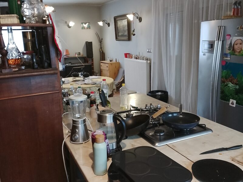 Duży Bliźniak w Poznaniu – 3 kondygnacje, ogród, świetna lokalizacja! Poznań Franowo (Nowe Miasto)